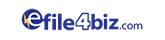 logo-efile4biz