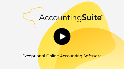 exceptional accounting software